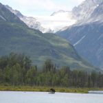 Alaska Bear Viewing