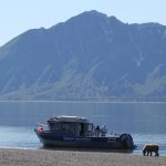 Alaska Bear Viewing