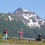 Bear Viewing in Alaska