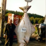 Alaska halibut fishing