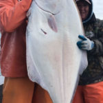 Halibut fishing in Alaska