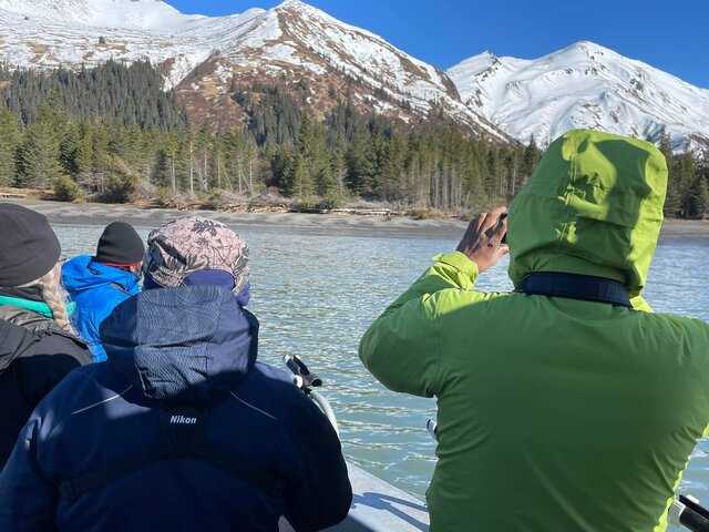 Alaska Bear Viewing