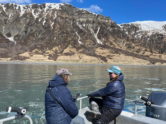 Alaska Bear Viewing