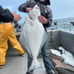 homer halibut fishing