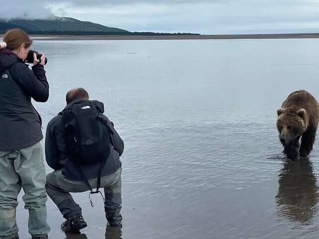 Bear Viewing in Alaska