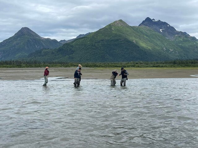 Bear Viewing in Alaska