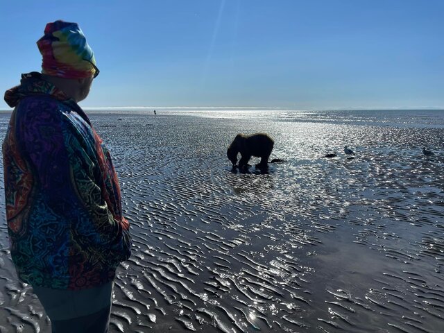 bear viewing by boat alaska