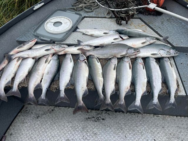 Salmon Fishing in Alaska