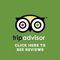 Tripadvisor