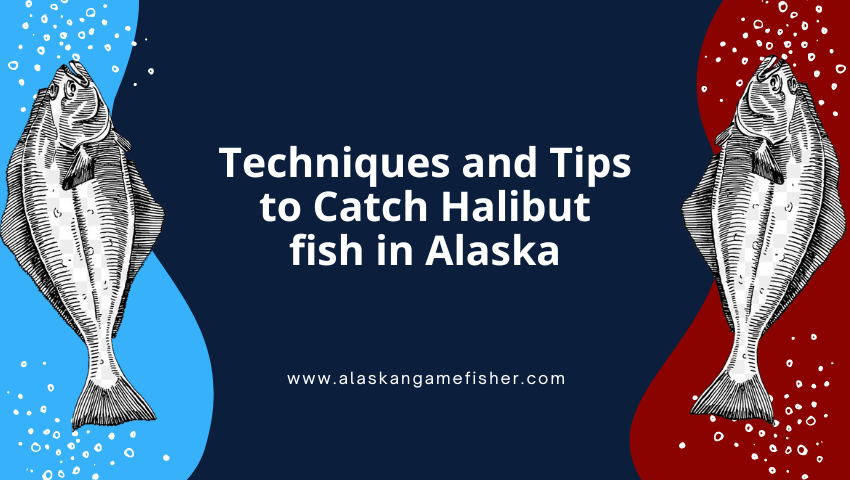 Alaska Halibut Fishing Guide: Tips for the Big Catch