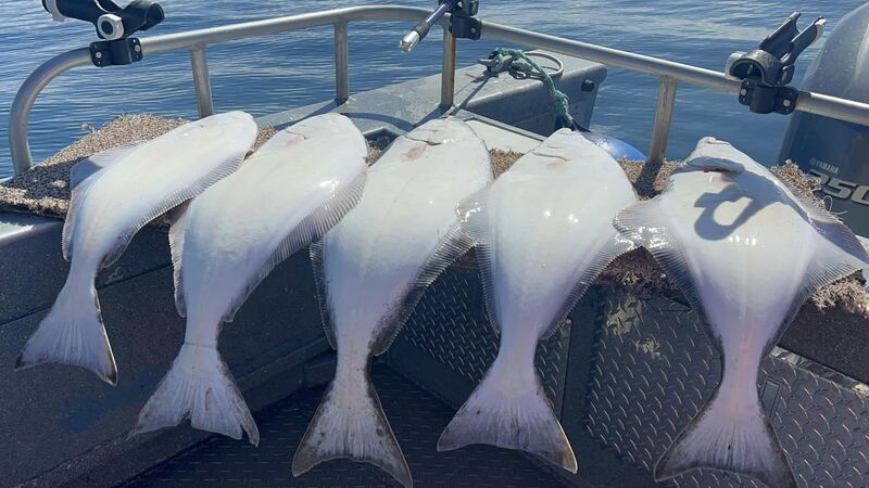 halibut fishing in alaska