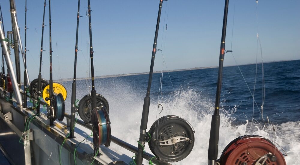 Role of Fishing Charters