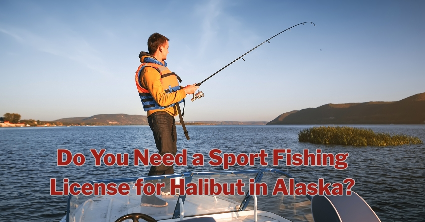 Do You Need a Sport Fishing License for Halibut in Alaska?