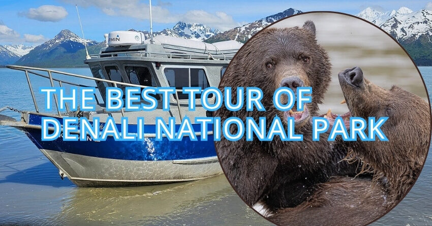 Tour of Denali National Park
