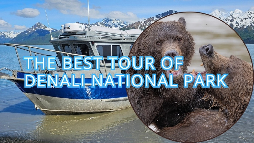 Tour of Denali National Park