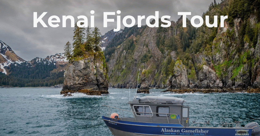 Kenai Fjords Tour