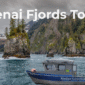 Kenai Fjords Tour